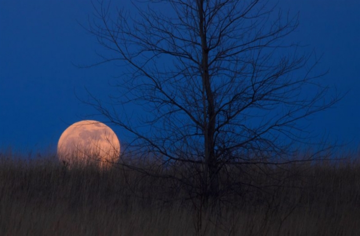 Illustration de l'article : 13 parmi les plus belles photos de la Lune