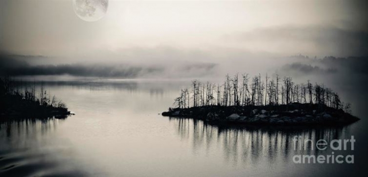 Illustration de l'article : 13 parmi les plus belles photos de la Lune