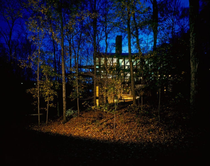 Illustration de l'article : L'int&eacute;rieur de cette maison de luxe qui se trouve dans les arbres devrait vous faire r&ecirc;ver !