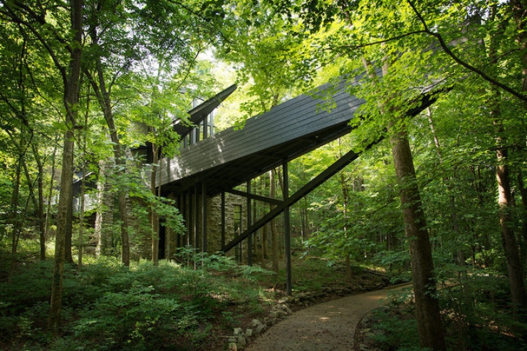 Illustration de l'article : L'int&eacute;rieur de cette maison de luxe qui se trouve dans les arbres devrait vous faire r&ecirc;ver !