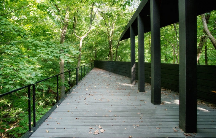 Illustration de l'article : L'int&eacute;rieur de cette maison de luxe qui se trouve dans les arbres devrait vous faire r&ecirc;ver !