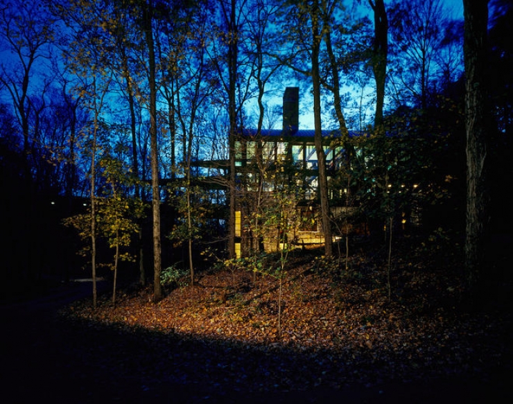 Illustration de l'article : L'int&eacute;rieur de cette maison de luxe qui se trouve dans les arbres devrait vous faire r&ecirc;ver !