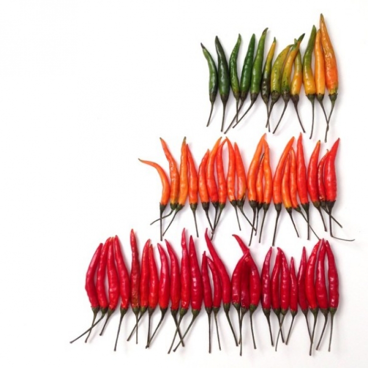 Illustration de l'article : Le food-art multicolore de Brittany Wright. De quoi vous donner envie de manger 5 fruits et l&eacute;gumes par jours...