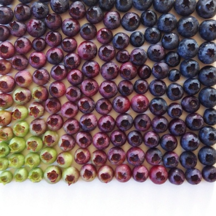 Illustration de l'article : Le food-art multicolore de Brittany Wright. De quoi vous donner envie de manger 5 fruits et l&eacute;gumes par jours...