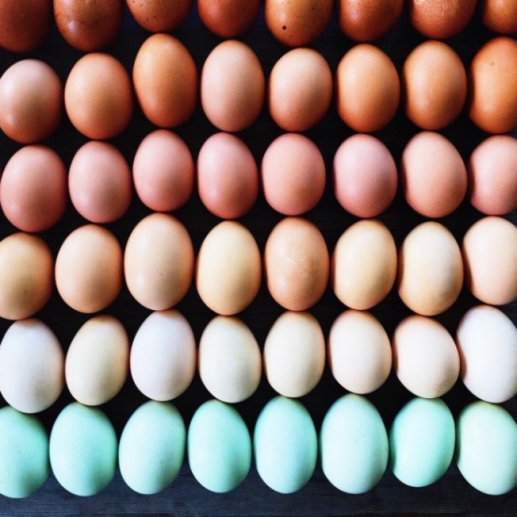 Illustration de l'article : Le food-art multicolore de Brittany Wright. De quoi vous donner envie de manger 5 fruits et l&eacute;gumes par jours...