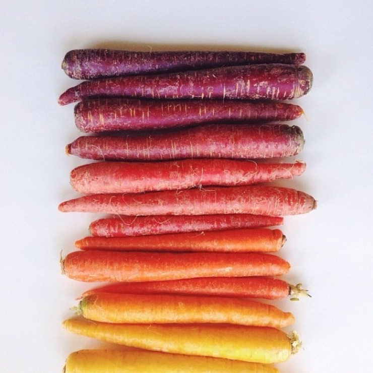 Illustration de l'article : Le food-art multicolore de Brittany Wright. De quoi vous donner envie de manger 5 fruits et l&eacute;gumes par jours...