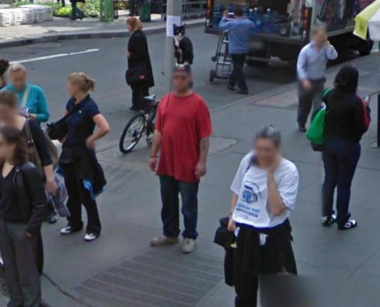 Illustration de l'article : 12 sc&egrave;nes insolites captur&eacute;es sur Google Street View. La 5 est juste &eacute;norme...