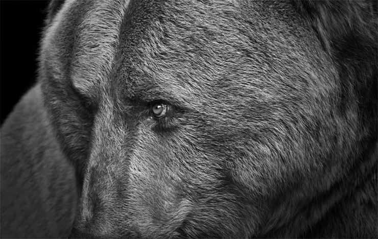 Illustration de l'article : Il arr&ecirc;te sa grande carri&egrave;re de photographe de mode pour r&eacute;aliser son r&ecirc;ve