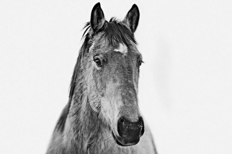 Illustration de l'article : Il arr&ecirc;te sa grande carri&egrave;re de photographe de mode pour r&eacute;aliser son r&ecirc;ve