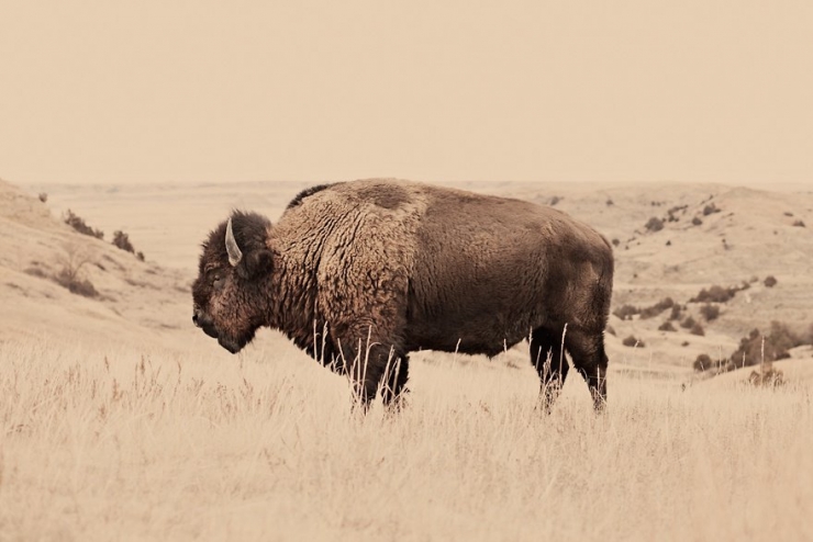 Illustration de l'article : Il arr&ecirc;te sa grande carri&egrave;re de photographe de mode pour r&eacute;aliser son r&ecirc;ve