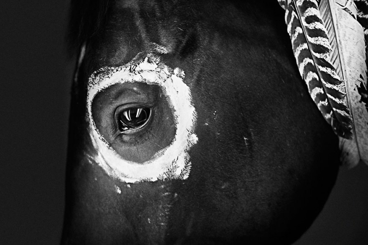 Illustration de l'article : Il arr&ecirc;te sa grande carri&egrave;re de photographe de mode pour r&eacute;aliser son r&ecirc;ve