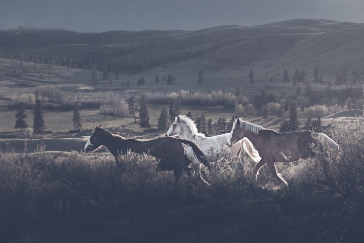 Illustration de l'article : Il arr&ecirc;te sa grande carri&egrave;re de photographe de mode pour r&eacute;aliser son r&ecirc;ve