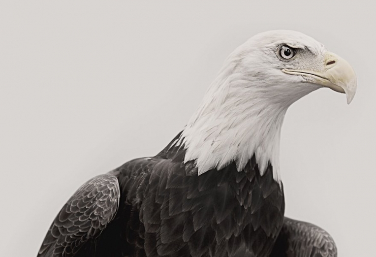 Illustration de l'article : Il arr&ecirc;te sa grande carri&egrave;re de photographe de mode pour r&eacute;aliser son r&ecirc;ve