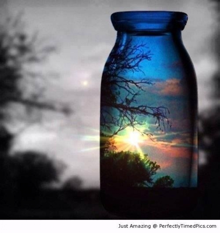 Illustration de l'article : Dans la s&eacute;rie des photos prises au bon moment... Ces 42 perles devraient vous plaire !