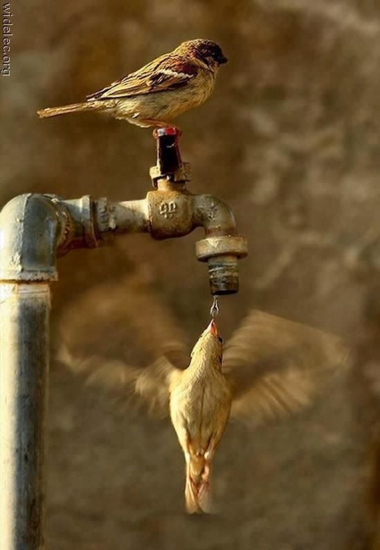 Illustration de l'article : Dans la s&eacute;rie des photos prises au bon moment... Ces 42 perles devraient vous plaire !