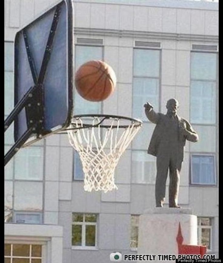 Illustration de l'article : Dans la s&eacute;rie des photos prises au bon moment... Ces 42 perles devraient vous plaire !