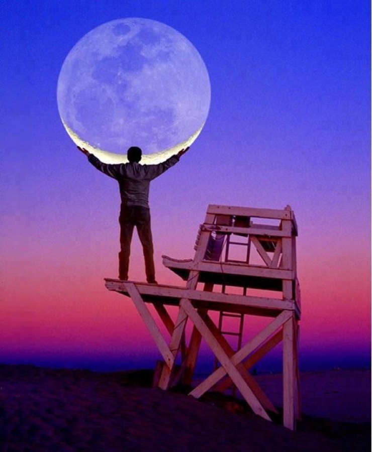 Illustration de l'article : Dans la s&eacute;rie des photos prises au bon moment... Ces 42 perles devraient vous plaire !