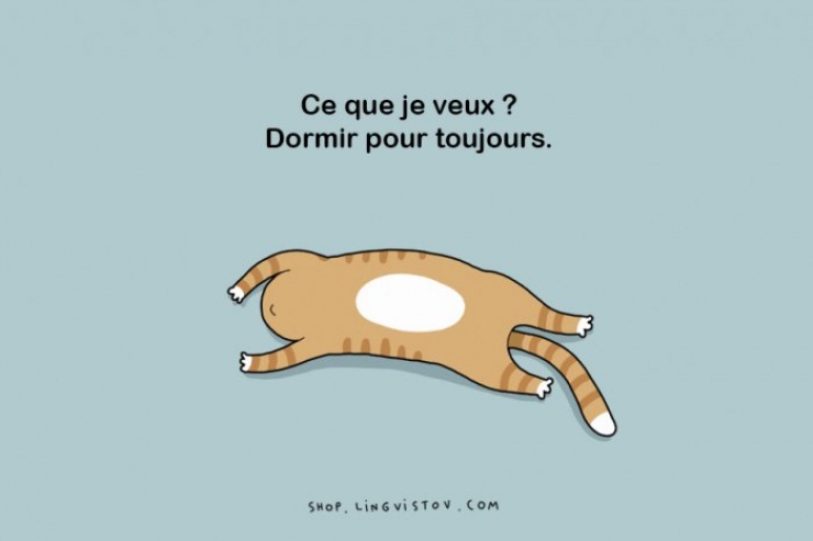 Illustration de l'article : Seules les personnes qui adorent dormir se retrouveront dans ces 15 affirmations... Mention sp&eacute;ciale pour la 5!