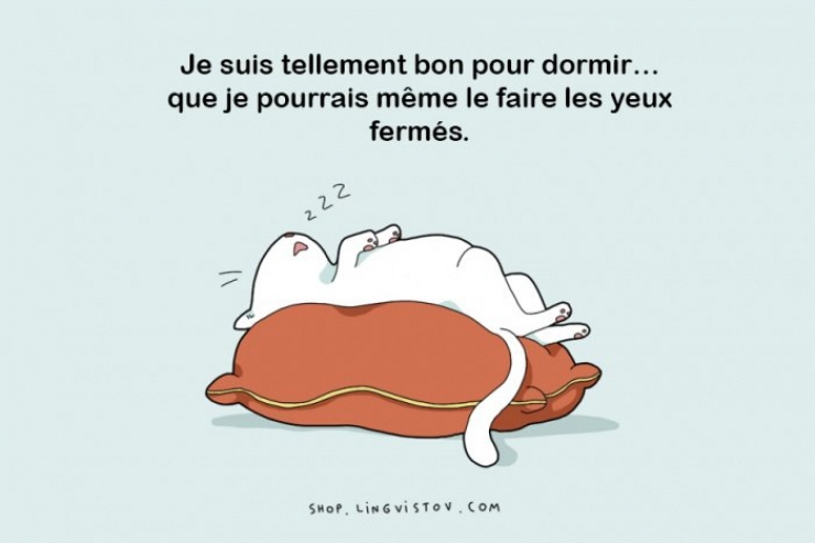Illustration de l'article : Seules les personnes qui adorent dormir se retrouveront dans ces 15 affirmations... Mention sp&eacute;ciale pour la 5!