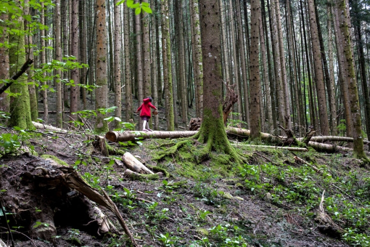 Illustration de l'article : Une maman photographe transforme sa fille en héroïne de fiction (12 photos)