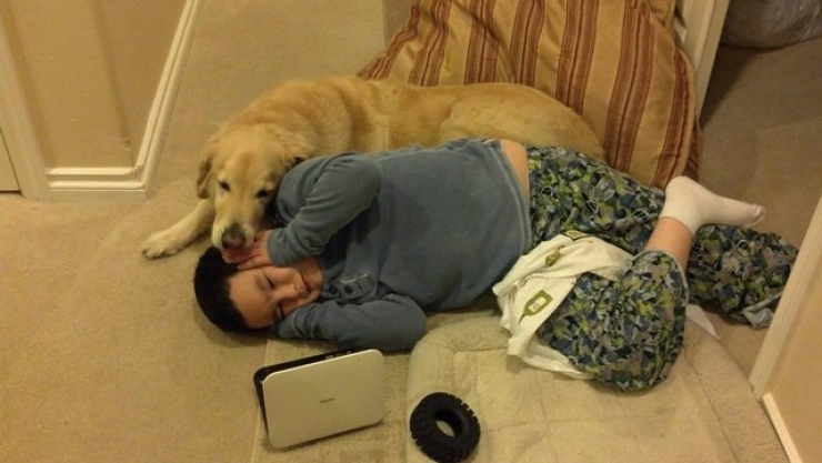 Illustration de l'article : 12 photos qui prouvent - s'il le fallait - que les chiens sont des membres à part entière de la famille