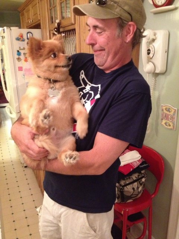 Illustration de l'article : 12 photos qui prouvent - s'il le fallait - que les chiens sont des membres à part entière de la famille