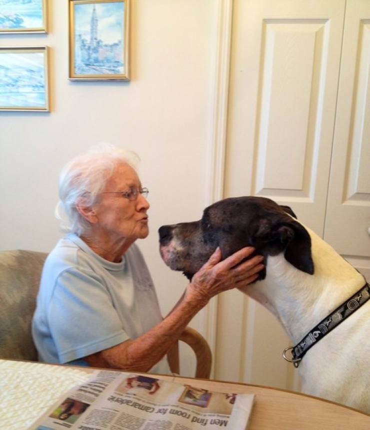 Illustration de l'article : 12 photos qui prouvent - s'il le fallait - que les chiens sont des membres à part entière de la famille