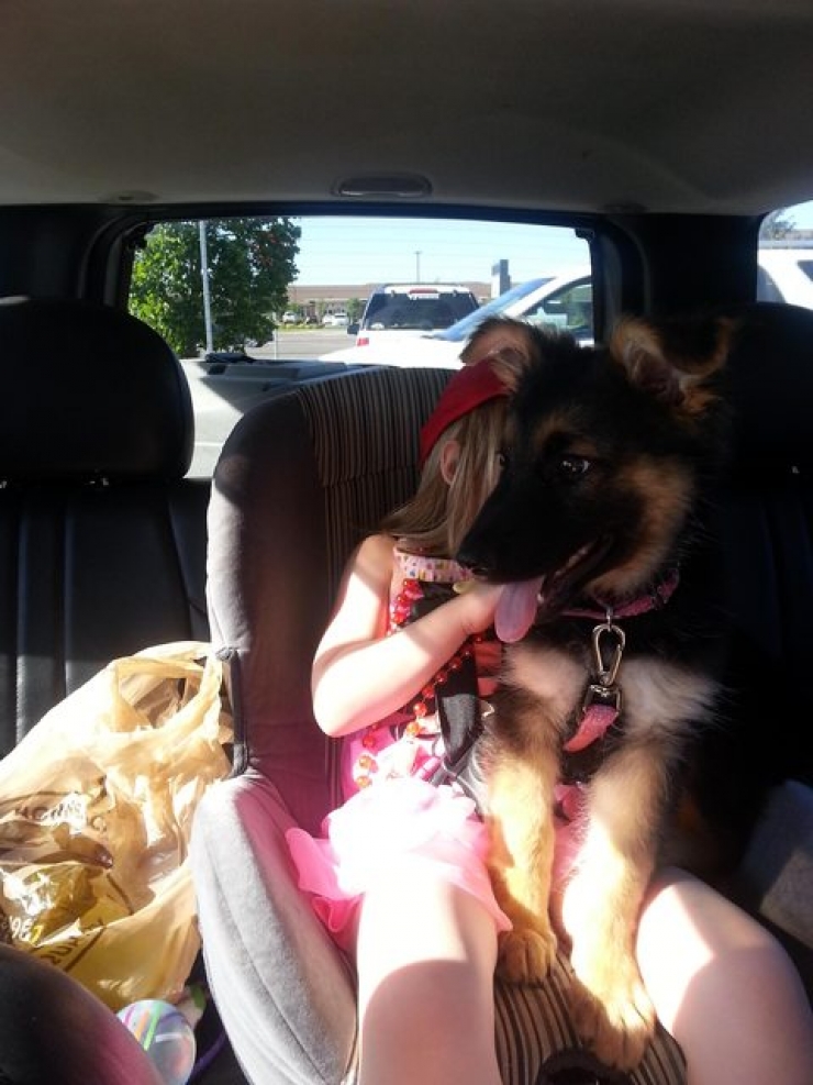 Illustration de l'article : 12 photos qui prouvent - s'il le fallait - que les chiens sont des membres à part entière de la famille