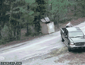 Illustration de l'article : 10 sc&egrave;nes de sauvetages d'animaux qui restaureront votre foi en l'humanit&eacute;