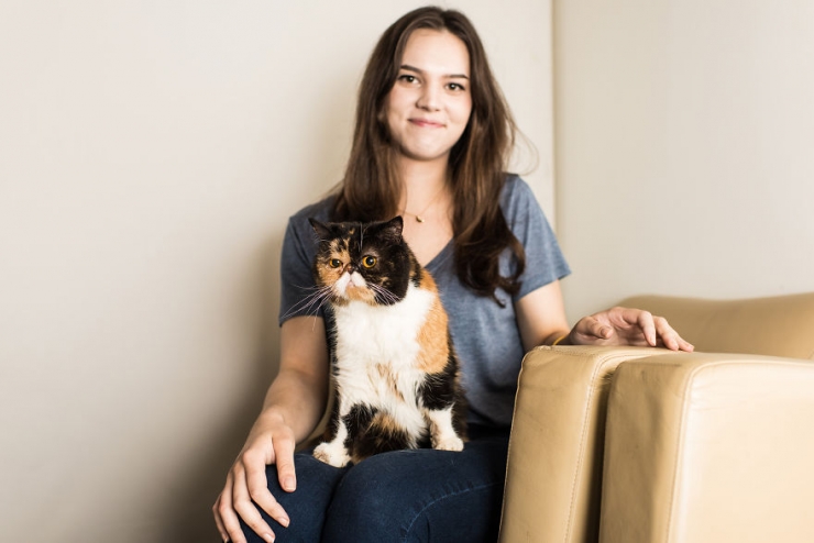 Illustration de l'article : Ils sillonnent les Etats-Unis sur les traces des chats-stars d'Internet