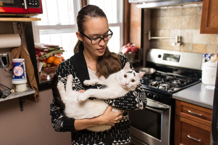 Illustration de l'article : Ils sillonnent les Etats-Unis sur les traces des chats-stars d'Internet