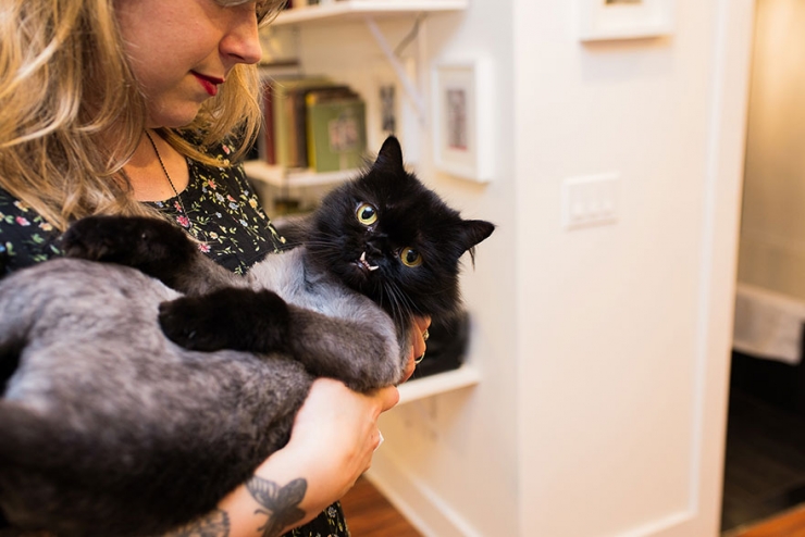 Illustration de l'article : Ils sillonnent les Etats-Unis sur les traces des chats-stars d'Internet