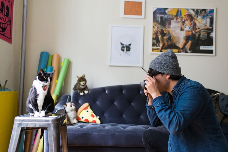 Illustration de l'article : Ils sillonnent les Etats-Unis sur les traces des chats-stars d'Internet