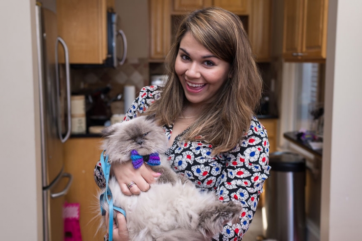 Illustration de l'article : Ils sillonnent les Etats-Unis sur les traces des chats-stars d'Internet