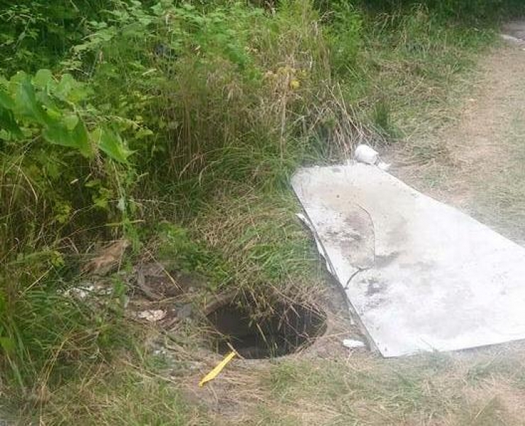 Illustration de l'article : Il sauve un chien coinc&eacute; au fond d'un puits