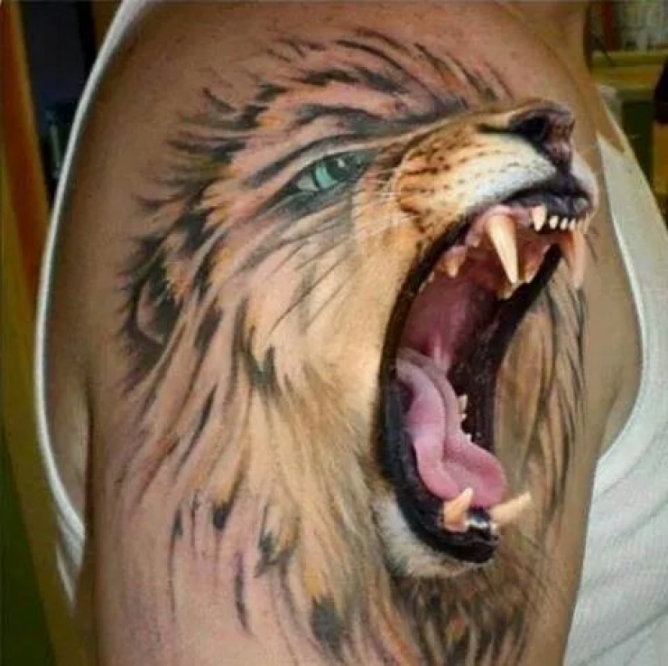 Illustration de l'article : Les 30 tatouages 3D les plus impressionnants du moment... Enfin de l'originalit&eacute; ! 