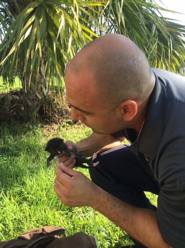 Illustration de l'article : Des pompiers interviennent sur un incendie et trouvent des chatons au bord de l'asphyxie