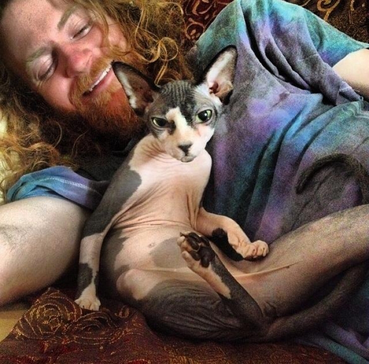 Illustration de l'article : Ces photos de chats sphynx prouvent que l'on n'a pas besoin de fourrure pour être mignon