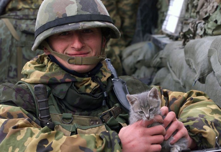 Illustration de l'article : Les plus belles scènes d'amitié entre des chats et des soldats en déploiement