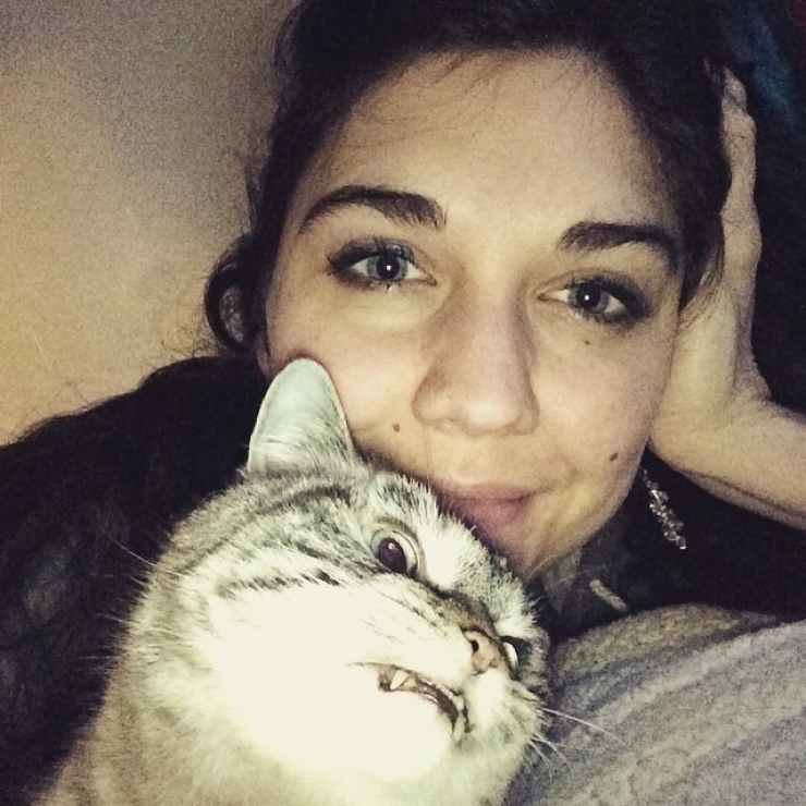 Illustration de l'article : Ce chat "vampire" est le nouveau chouchou des r&eacute;seaux sociaux