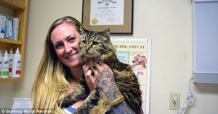 Illustration de l'article : Voici Corduroy, le doyen mondial des chats