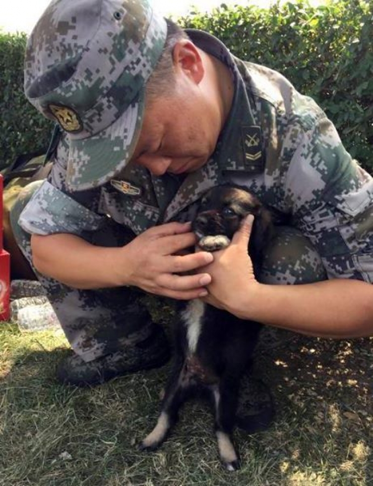 Illustration de l'article : Voici Shenghua, le petit miraculé de Tianjin