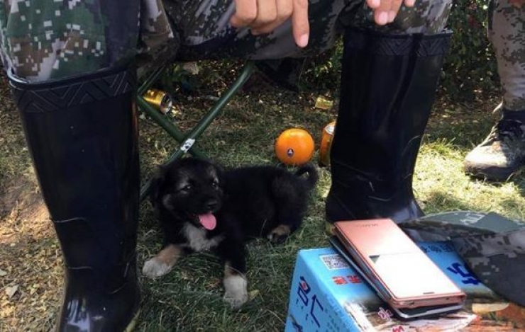 Illustration de l'article : Voici Shenghua, le petit miraculé de Tianjin