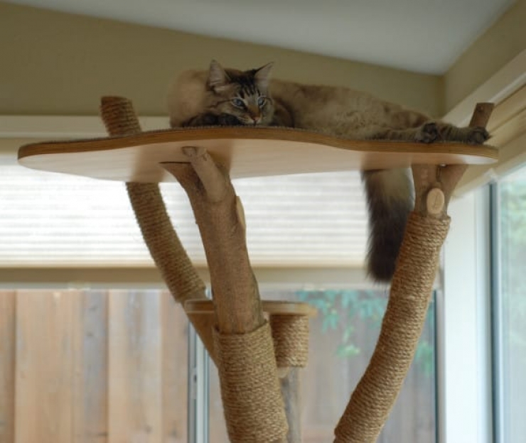 Une Grosse Branche Et Un Peu De Creativite Pour Realiser Un Arbre A Chat