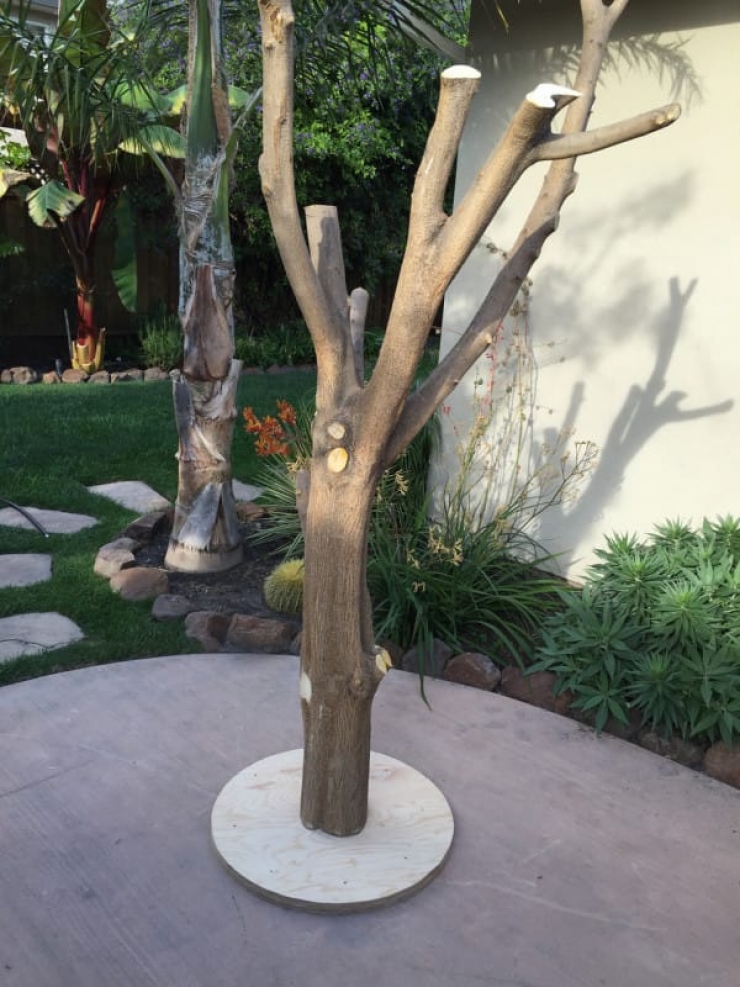 Illustration de l'article : Une grosse branche et un peu de cr&eacute;ativit&eacute; pour r&eacute;aliser un arbre &agrave; chat...