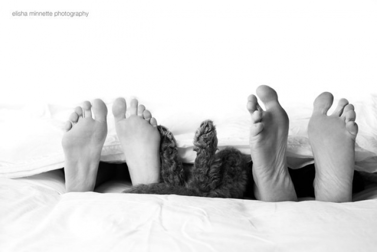 Illustration de l'article : Ce couple n'a pas l'intention d'avoir honte de cette s&eacute;ance photos pleine d'humour avec leur nouveau n&eacute; !