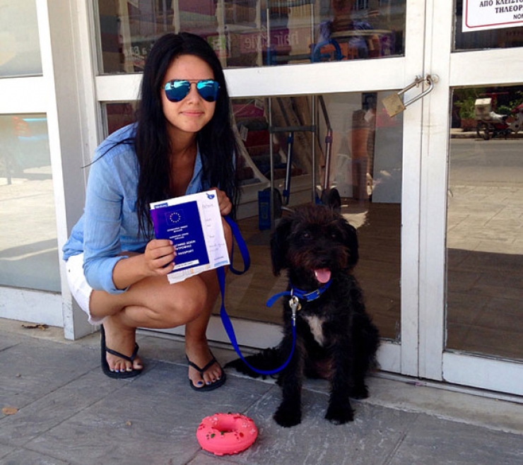 Illustration de l'article : Une jeune femme parcourt des milliers de km pour retrouver la chienne qui l'a sauvée