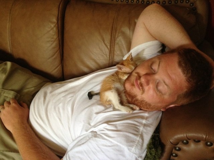 Illustration de l'article : 18 animaux qui se prennent pour tout sauf des animaux...