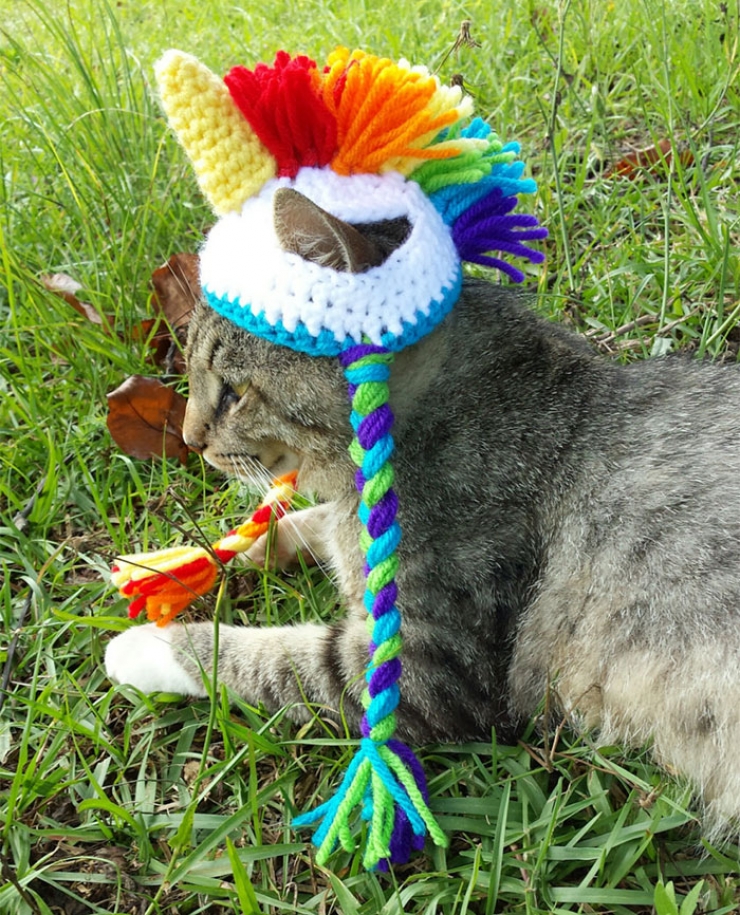 Illustration de l'article : Elle tricote de sympathiques bonnets de laine pour animaux de compagnie (15 photos)