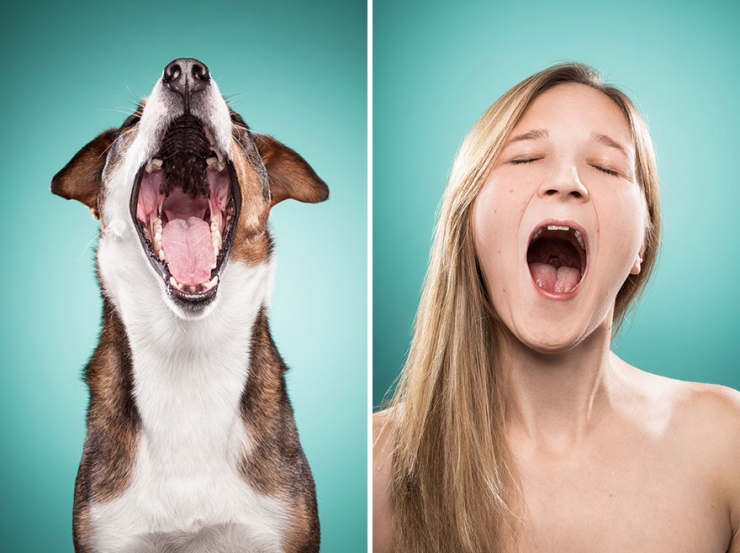 Illustration de l'article : Tel humain, tel chien : 22 photos d'hommes et de femmes imitant leurs chiens